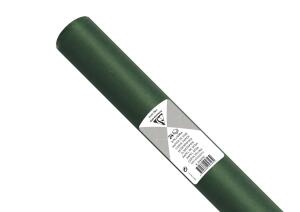 Clairefontaine Seidenpap 24Bl 50x75cm flaschengrün