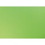 Clairefontaine Fotokarton 10Bl 270g 50x65 apfel