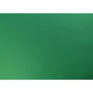Clairefontaine Fotokarton 10Bl 270g 50x65 grün