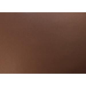 Clairefontaine Fotokarton 10Bl 270g 50x65 schoko