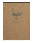 Clairefontaine FSp Block lin Kra 10,5x14,8 70Bl st