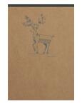 Clairefontaine FSp Block lin Kra 10,5x14,8 70Bl st