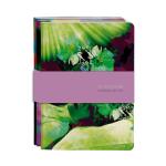 Clairefontaine Egerie 3Hefte Fadenb A5 32Bl lin st