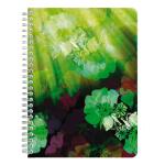Clairefontaine Egerie Spiralbuch A5 60Bl lin sort.