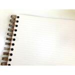 Clairefontaine Egerie Reisealb A5 40S w lin/sw bl