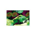 Clairefontaine Egerie Schreibunterlage 60x40