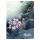 Clairefontaine CC7 Sammelm 24x32 sort