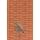 Clairefontaine FC Block Postkarten 10x1x14,5