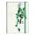 Clairefontaine Hedera Heft geb A5 48Bl lin sort.