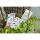 Clairefontaine Bloom Merkzettel 9,5x16 50Bl mStift