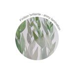 Clairefontaine QE Notizb Spiralb A5 74Bl lin sort1