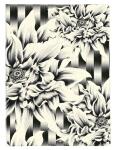 Clairefontaine Kenzo Notizb Spirale A5 74Bl lin st