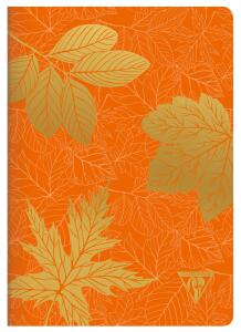 Clairefontaine Neo3 Heft 14,8x21 48Bl lin or st