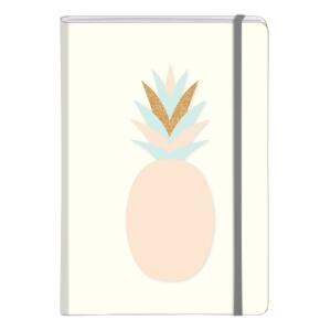 Clairefontaine Mikado Heft geb A5 48Bl lin sort