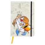 Clairefontaine Asterix 2 Notizbuch GZ A5 72Bl