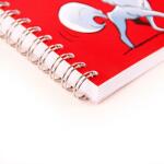 Clairefontaine Asterix3 Idefix cdt "Love" Spirale