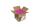Clairefontaine Umschl Pollen 165x165 120g fuchsia
