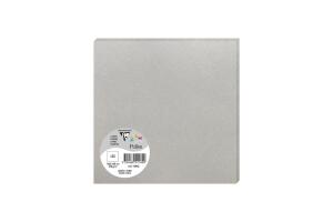Clairefontaine Karte Pollen 160x160 silber