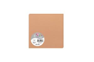 Clairefontaine Karte Pollen 135x135 210g Nektar