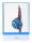 Lalo 1 Karte/Umschlag C6 Plume Feder