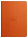 Rhodia Rhodia Nbuch A5 liniert 32Bl tangerine