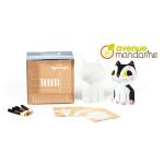 Avenue Mandarine Nimo Déco, Katze Victor