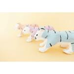 Clairefontaine Tiger XS 13x4,5x6