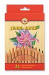 KOH Buntstifte Schule Natur Jumbo 24er