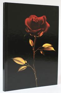 ADINA Notizbuch A4 fester Deckel Lineatur gepunktet elegante Rose