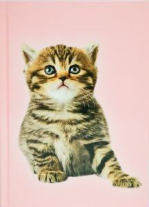 ADINA Notizbuch A4 blanko fester Deckel Katze