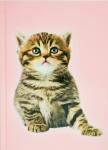 ADINA Notizbuch A4 blanko fester Deckel Katze