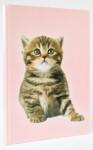 ADINA Notizbuch A4 blanko fester Deckel Katze