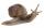 Bullyland Spielfigur  Weinbergschnecke 4,3cm, aus der Themenwelt Wald,, Figurmaße: ca. 4,3 x 8,5 x 5,5 cm (HxBxT),, frei von PVC und Weichmachern, ab 3 Jahren,