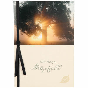Trauerkarte  Motiv 14, Aufrichtiges Mitgefühl