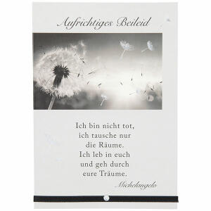 Trauerkarte  Motiv 26, Aufrichtiges Beileid! Ich bin nicht...