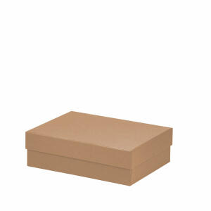 Kartonage 20x26x8cm  Boxline kraft, rechteckige Geschenkschachtel,, genaue Maße: 196 x 264 x 80 mm, Rössler