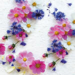 Serviette 33x33cm FSC-Mix  Summer florals, 3-lagig, 20...