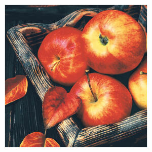 Motivserviette 33x33cm Herbst PAPER+DESIGN 196082 3lag