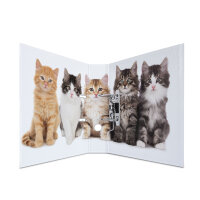 Herma Motiv-Ordner Karton A4, 7 cm Rückenbreite Katzen