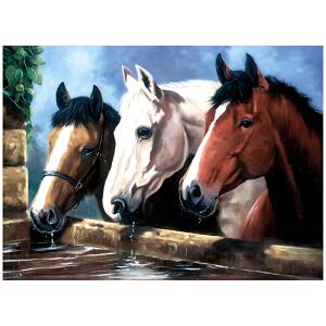 Malen nach Zahlen Bild RAVENSBURGER 4016490912835