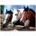 Malen nach Zahlen Bild RAVENSBURGER 4016490912835