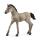 Schleich Horse Club 4059433486673