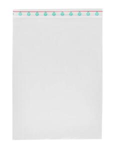 FSY Druckverschlussbeutel 350 x 250 mm, transparent, Druckverschluss, 1 Stück