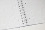ADINA Premium Collegeblock Kollegblock "Leguan" A4 kariert 80 Blatt 90g/qm
