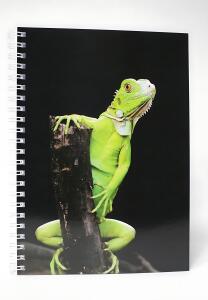 ADINA Premium Collegeblock "Leguan" A4 dotted (gepunktet) 80 Blatt
