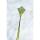 Ecoline Kinderdrachen Eddy Sea Turtle 70 cm