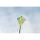 Ecoline Kinderdrachen Eddy Sea Turtle 70 cm