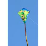 Ecoline Kinderdrachen Eddy Froggy 70 cm