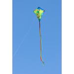 Ecoline Kinderdrachen Eddy Froggy 70 cm