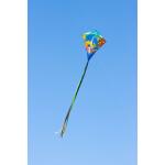 Ecoline Kinderdrachen Eddy Dolphin Sunset 70 cm